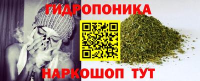 прущие крисы Лесосибирск