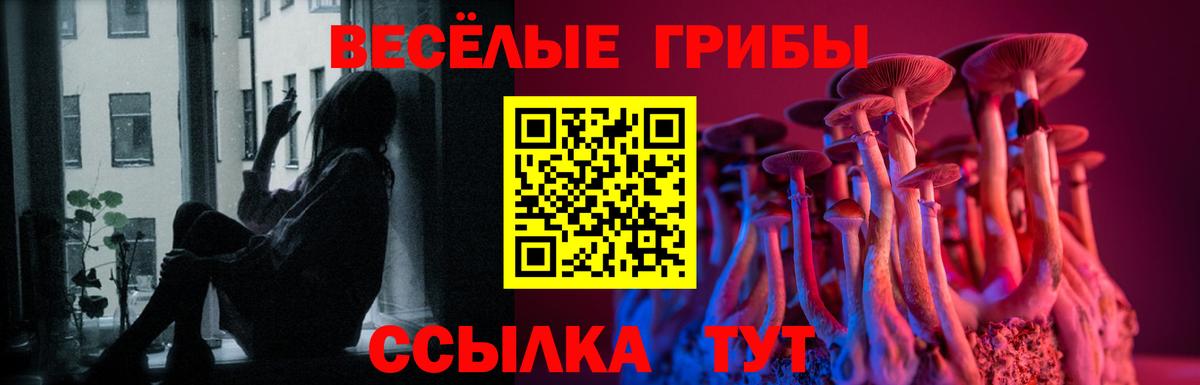 Галлюциногенные грибы Psilocybine cubensis  Вход с VPN  Десногорск 